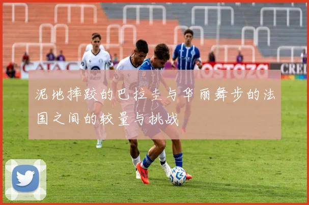 泥地摔跤的巴拉圭与华丽舞步的法国之间的较量与挑战