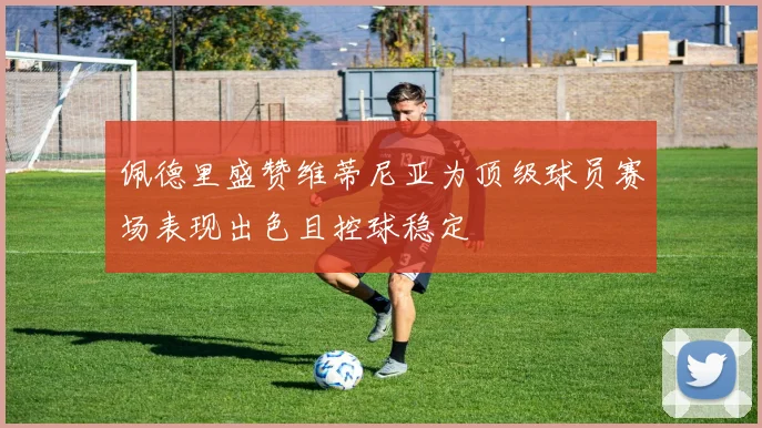 佩德里盛赞维蒂尼亚为顶级球员赛场表现出色且控球稳定