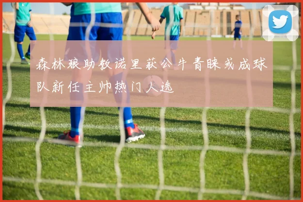森林狼助教诺里获公牛青睐或成球队新任主帅热门人选